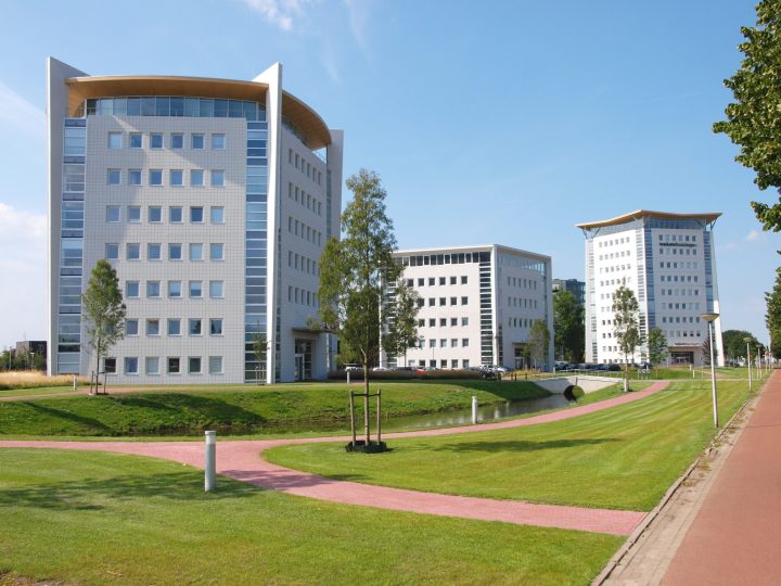Park Phi